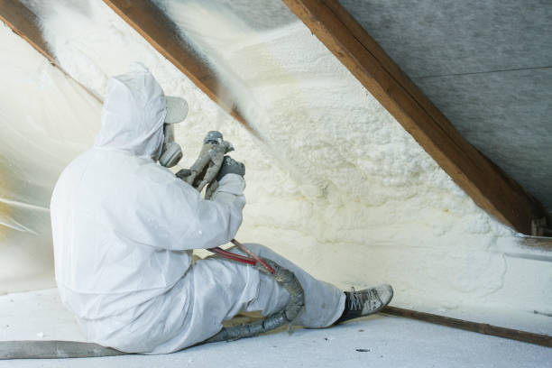  Roanoke, IL Insulation Removal & Installation Pros